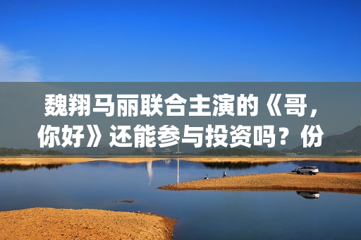 魏翔马丽联合主演的《哥，你好》还能参与投资吗？份额什么时候截止？(魏翔的女搭档是谁)