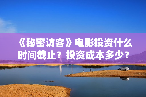 《秘密访客》电影投资什么时间截止？投资成本多少？(秘密访客完整电影)