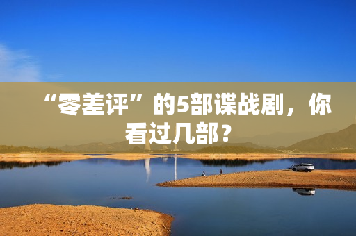 “零差评”的5部谍战剧，你看过几部？