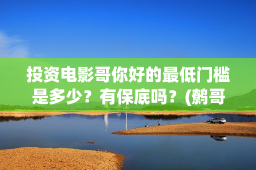 投资电影哥你好的最低门槛是多少？有保底吗？(鹩哥你好教材)