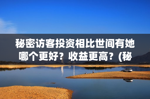 秘密访客投资相比世间有她哪个更好？收益更高？(秘密访客总投资)