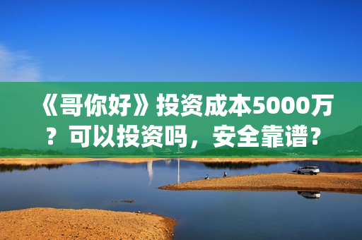 《哥你好》投资成本5000万？可以投资吗，安全靠谱？(《哥你好》投资多少钱)
