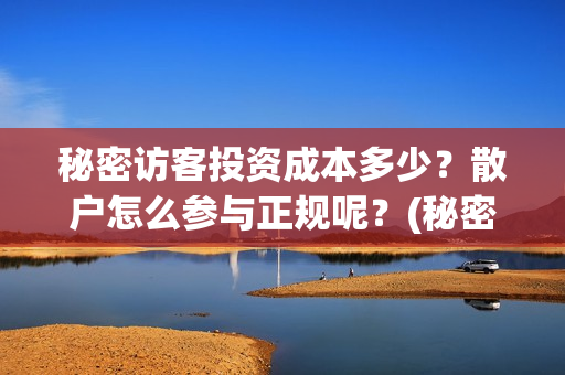 秘密访客投资成本多少?散户怎么参与正规呢?(秘密访客 投资方) 秘密访客投资成本多少?散户怎么参与正规呢?(秘密访客 投资方)