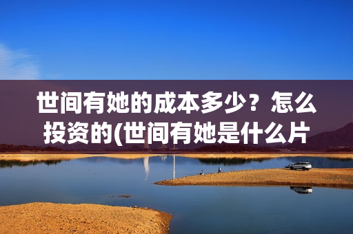 世间有她的成本多少？怎么投资的(世间有她是什么片)