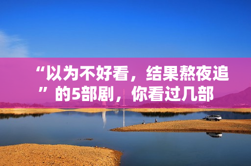 “以为不好看，结果熬夜追”的5部剧，你看过几部