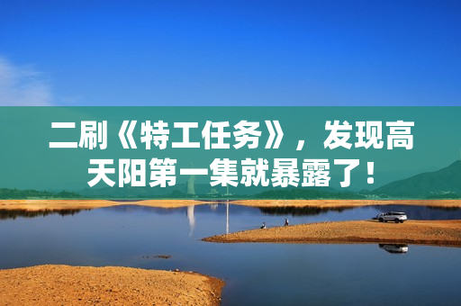 二刷《特工任务》，发现高天阳第一集就暴露了！