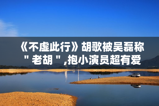 《不虚此行》胡歌被吴磊称＂老胡＂,抱小演员超有爱