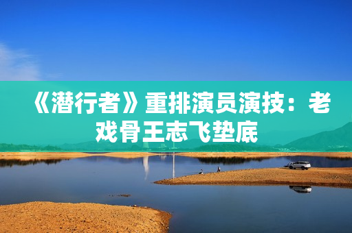 《潜行者》重排演员演技：老戏骨王志飞垫底