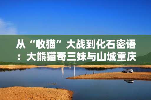 从“收猫”大战到化石密语：大熊猫奇三妹与山城重庆的生命回响