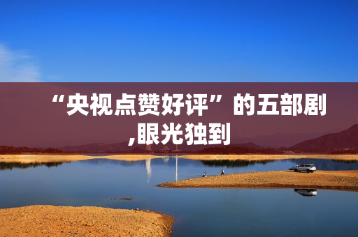 “央视点赞好评”的五部剧,眼光独到