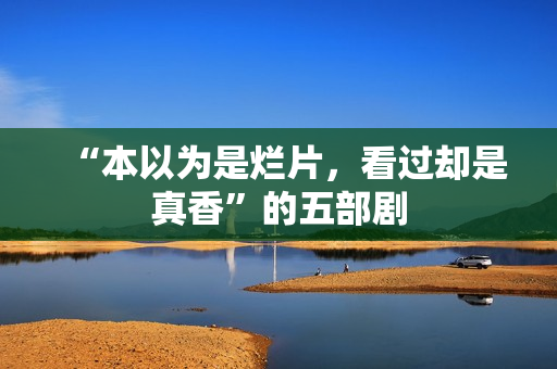 “本以为是烂片，看过却是真香”的五部剧