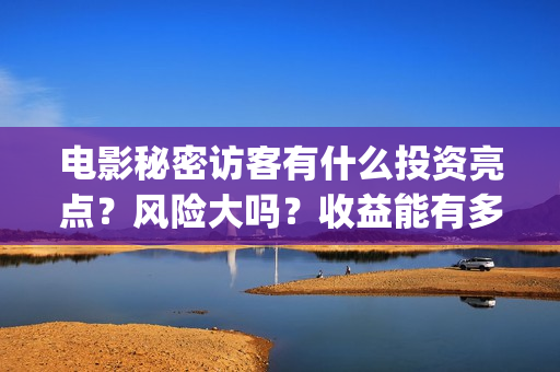 电影秘密访客有什么投资亮点?风险大吗?收益能有多少?(电影秘密访客是恐怖片吗) 电影秘密访客有什么投资亮点?风险大吗?收益能有多少?(电影秘密访客是恐怖片吗)