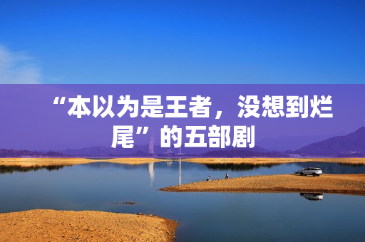 “本以为是王者，没想到烂尾”的五部剧