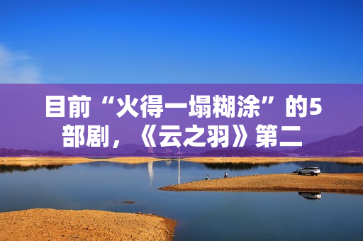 目前“火得一塌糊涂”的5部剧，《云之羽》第二