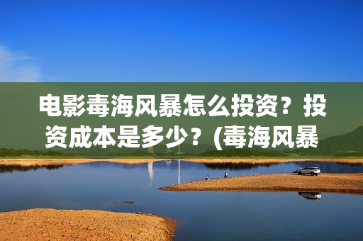 电影毒海风暴怎么投资？投资成本是多少？(毒海风暴上映时间)