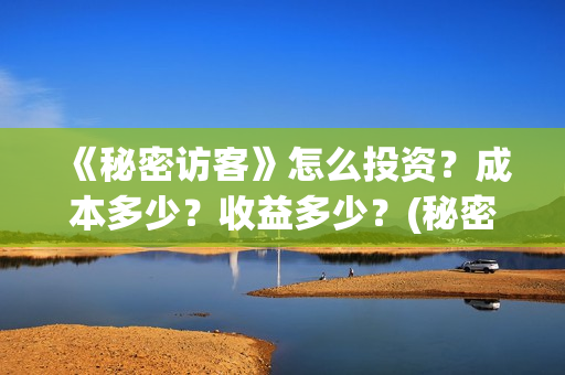 《秘密访客》怎么投资？成本多少？收益多少？(秘密访客详细解析)
