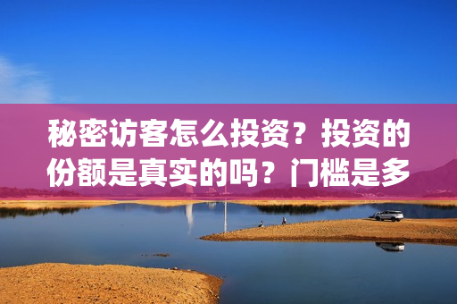 秘密访客怎么投资？投资的份额是真实的吗？门槛是多少？(秘密访客访客)