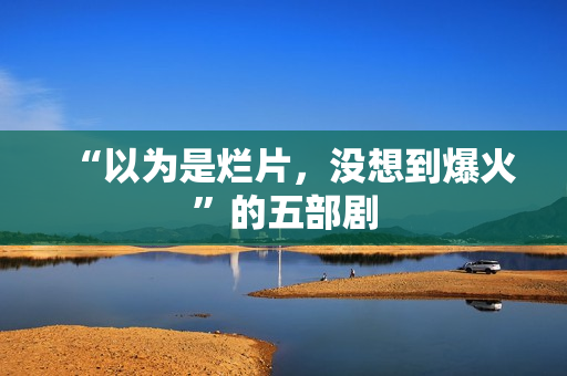 “以为是烂片，没想到爆火”的五部剧