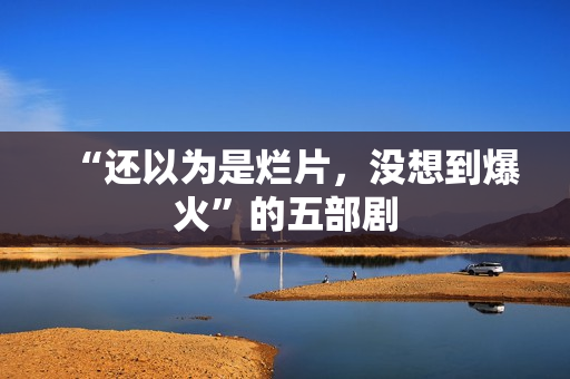 “还以为是烂片，没想到爆火”的五部剧