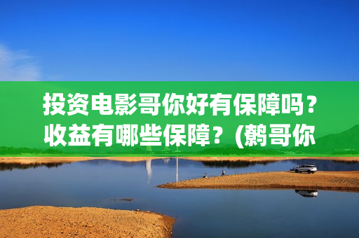 投资电影哥你好有保障吗？收益有哪些保障？(鹩哥你好mp3)