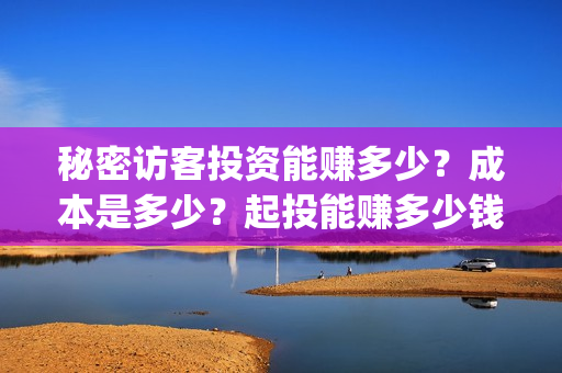 秘密访客投资能赚多少?成本是多少?起投能赚多少钱?(秘密访客买票) 秘密访客投资能赚多少?成本是多少?起投能赚多少钱?(秘密访客买票)