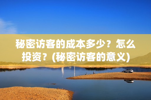 秘密访客的成本多少?怎么投资?(秘密访客的意义) 秘密访客的成本多少?怎么投资?(秘密访客的意义)