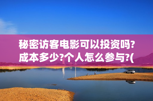 秘密访客电影可以投资吗?成本多少?个人怎么参与?(秘密访客电影啥意思)