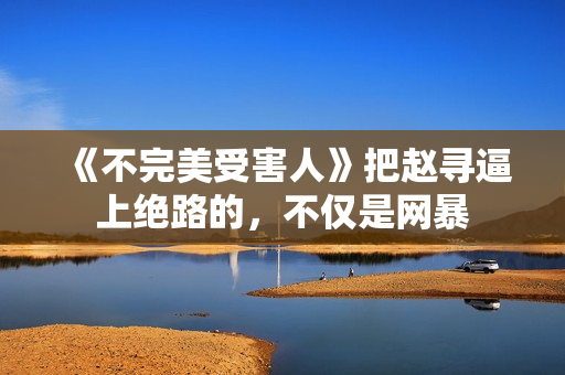 《不完美受害人》把赵寻逼上绝路的，不仅是网暴