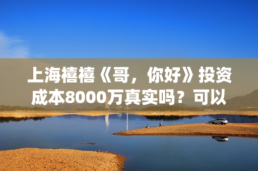 上海禧禧《哥，你好》投资成本8000万真实吗？可以投资？(禧哥是做什么行业的)