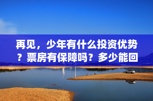 再见,少年有什么投资优势?票房有保障吗?多少能回本?(再见,少年语录) 再见,少年有什么投资优势?票房有保障吗?多少能回本?(再见,少年语录)