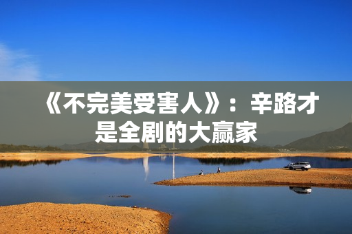 《不完美受害人》：辛路才是全剧的大赢家