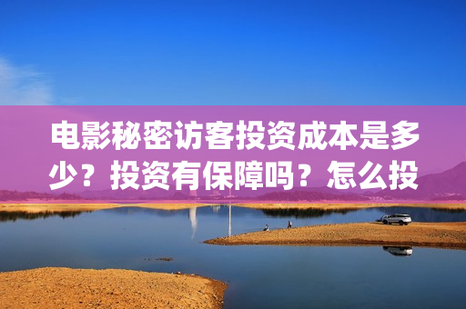 电影秘密访客投资成本是多少？投资有保障吗？怎么投资？(秘密访客电影价钱)