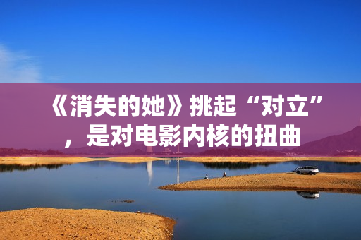 《消失的她》挑起“对立”，是对电影内核的扭曲