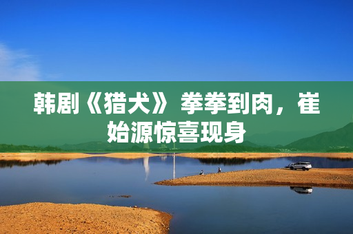 韩剧《猎犬》 拳拳到肉，崔始源惊喜现身