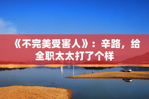 《不完美受害人》：辛路，给全职太太打了个样