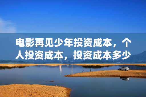 电影再见少年投资成本，个人投资成本，投资成本多少？(再见少年电影预告)