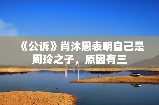 《公诉》肖沐恩表明自己是周玲之子，原因有三