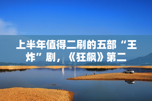 上半年值得二刷的五部“王炸”剧，《狂飙》第二