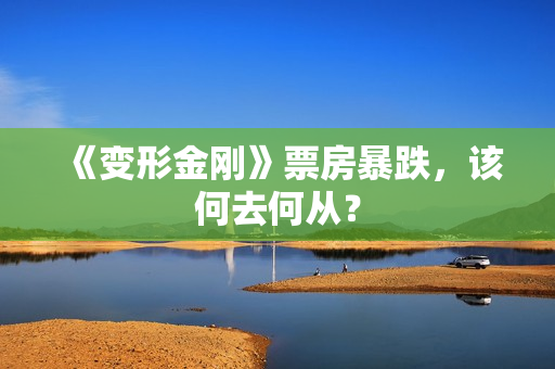 《变形金刚》票房暴跌,该何去何从? 《变形金刚》票房暴跌,该何去何从?