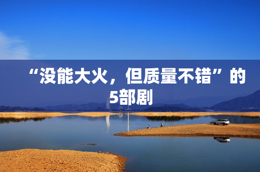 “没能大火，但质量不错”的5部剧