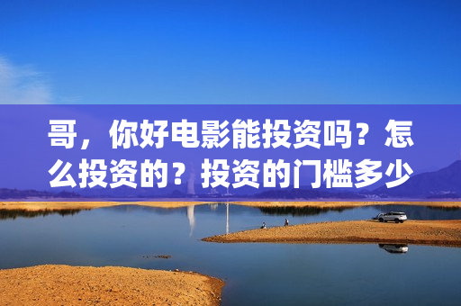 哥，你好电影能投资吗？怎么投资的？投资的门槛多少(歌曲哥哥你好)