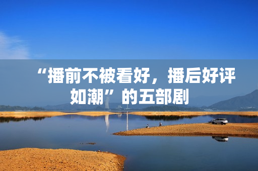 “播前不被看好，播后好评如潮”的五部剧