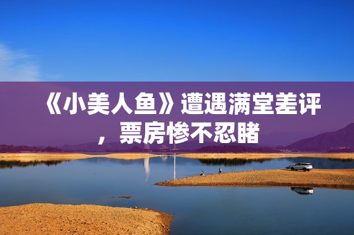 《小美人鱼》遭遇满堂差评，票房惨不忍睹