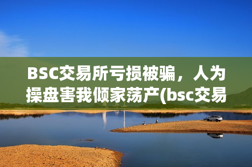 BSC交易所亏损被骗，人为操盘害我倾家荡产(bsc交易平台)