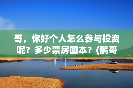 哥，你好个人怎么参与投资呢？多少票房回本？(鹩哥你好mp3)