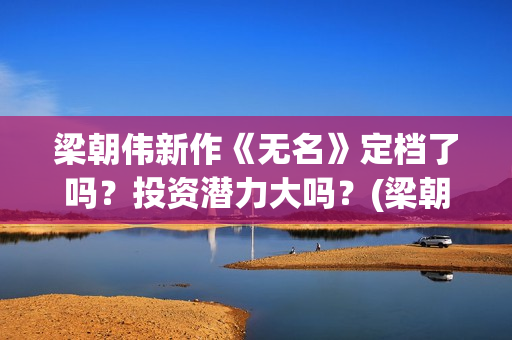 梁朝伟新作《无名》定档了吗？投资潜力大吗？(梁朝伟参演无名)