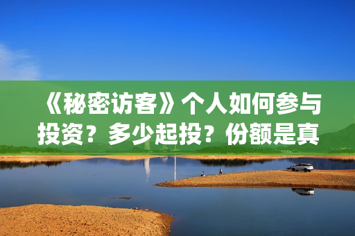 《秘密访客》个人如何参与投资?多少起投?份额是真实的吗?(秘密访客细节解说) 《秘密访客》个人如何参与投资?多少起投?份额是真实的吗?(秘密访客细节解说)