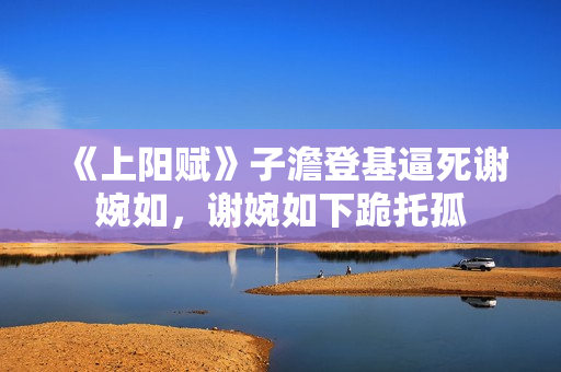 《上阳赋》子澹登基逼死谢婉如，谢婉如下跪托孤