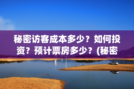 秘密访客成本多少?如何投资?预计票房多少?(秘密访客总投资多少) 秘密访客成本多少?如何投资?预计票房多少?(秘密访客总投资多少)