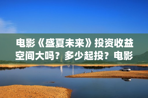 电影《盛夏未来》投资收益空间大吗？多少起投？电影投资的份额真实吗？(电影:盛夏未来)